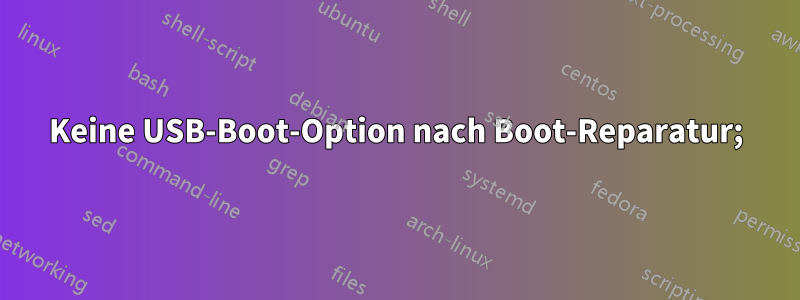 Keine USB-Boot-Option nach Boot-Reparatur;