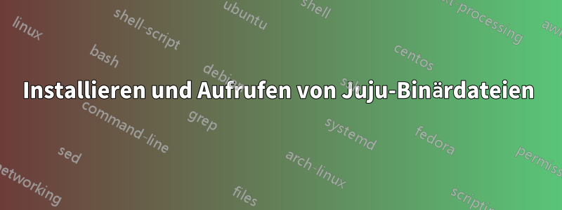 Installieren und Aufrufen von Juju-Binärdateien