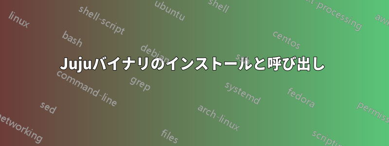 Jujuバイナリのインストールと呼び出し