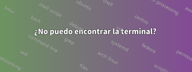 ¿No puedo encontrar la terminal?