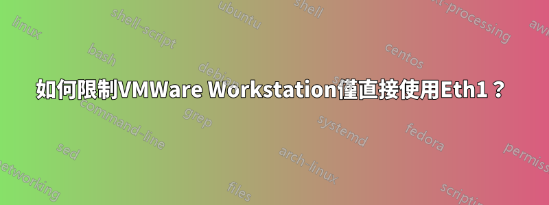 如何限制VMWare Workstation僅直接使用Eth1？