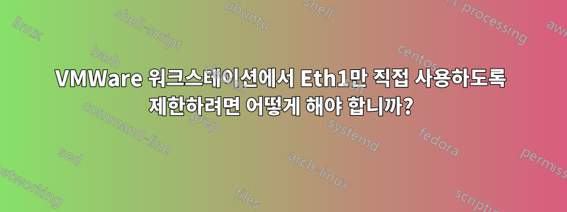 VMWare 워크스테이션에서 Eth1만 직접 사용하도록 제한하려면 어떻게 해야 합니까?