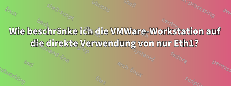 Wie beschränke ich die VMWare-Workstation auf die direkte Verwendung von nur Eth1?