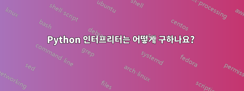 Python 인터프리터는 어떻게 구하나요?