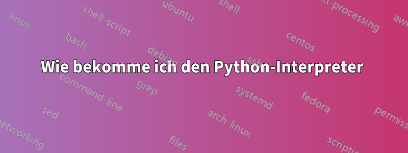 Wie bekomme ich den Python-Interpreter