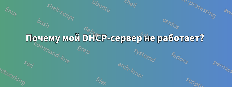 Почему мой DHCP-сервер не работает?