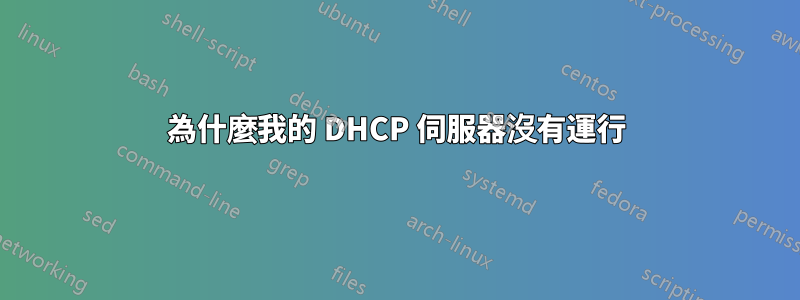 為什麼我的 DHCP 伺服器沒有運行