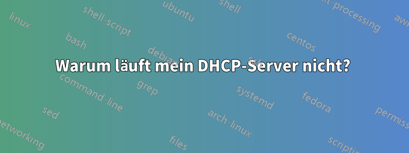 Warum läuft mein DHCP-Server nicht?