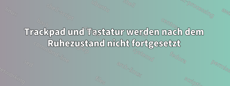 Trackpad und Tastatur werden nach dem Ruhezustand nicht fortgesetzt