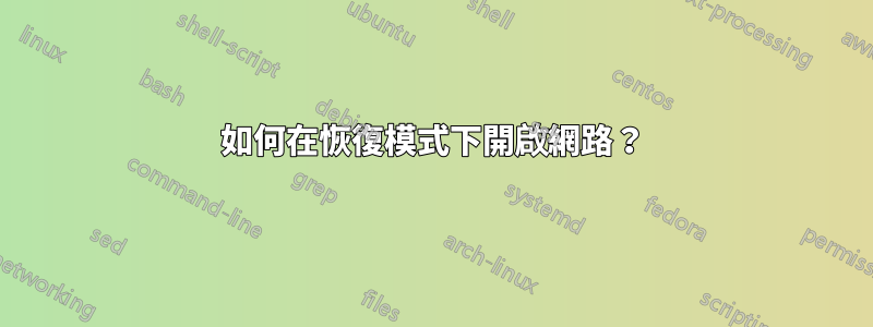 如何在恢復模式下開啟網路？