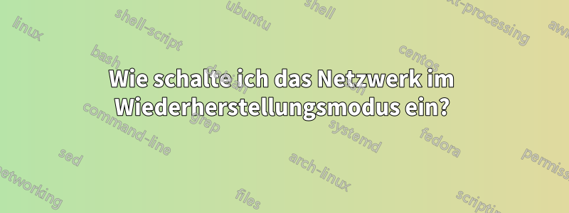 Wie schalte ich das Netzwerk im Wiederherstellungsmodus ein?