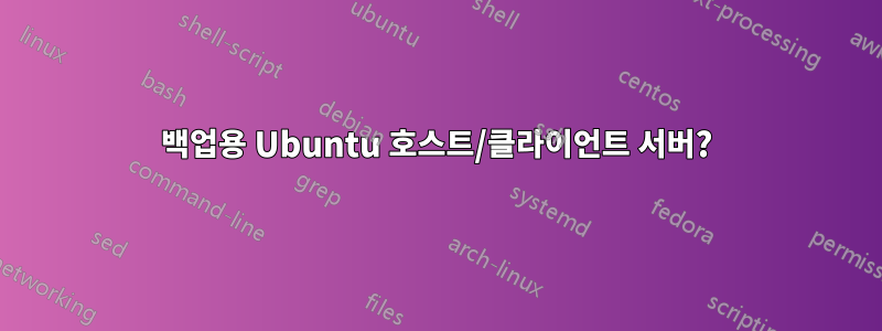 백업용 Ubuntu 호스트/클라이언트 서버?