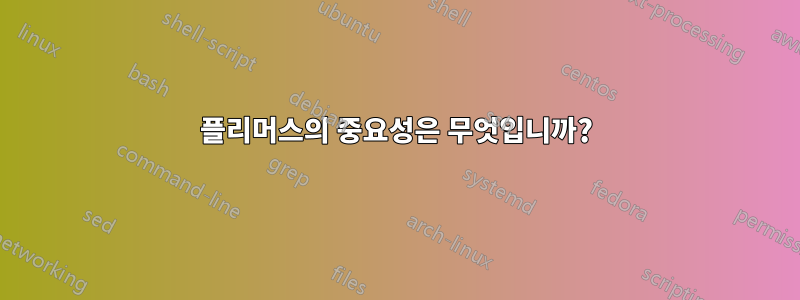 플리머스의 중요성은 무엇입니까?