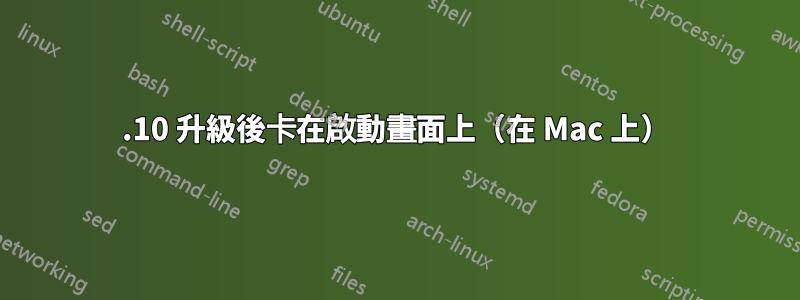 15.10 升級後卡在啟動畫面上（在 Mac 上）