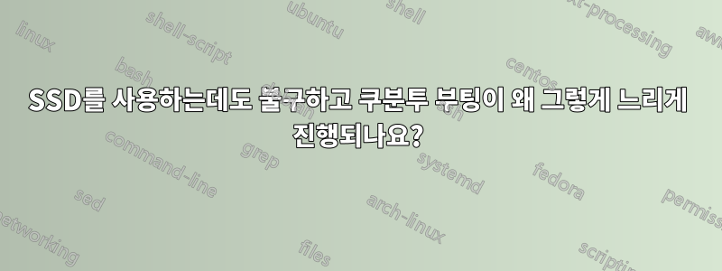 SSD를 사용하는데도 불구하고 쿠분투 부팅이 왜 그렇게 느리게 진행되나요?