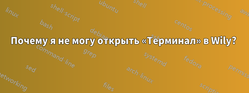 Почему я не могу открыть «Терминал» в Wily?