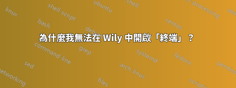 為什麼我無法在 Wily 中開啟「終端」？