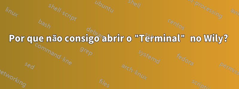 Por que não consigo abrir o "Terminal" no Wily?