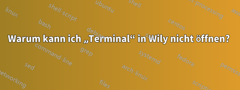 Warum kann ich „Terminal“ in Wily nicht öffnen?