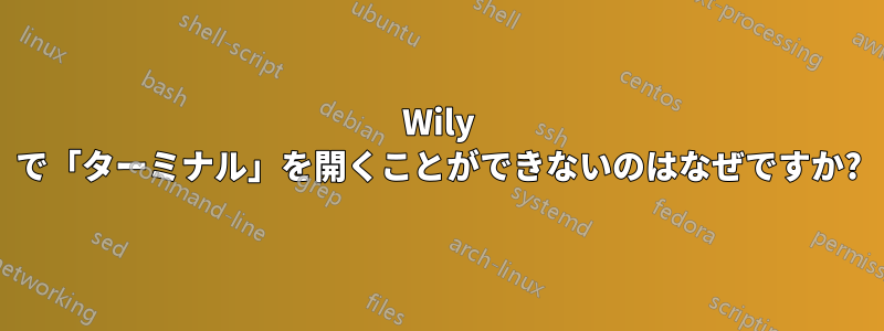 Wily で「ターミナル」を開くことができないのはなぜですか?