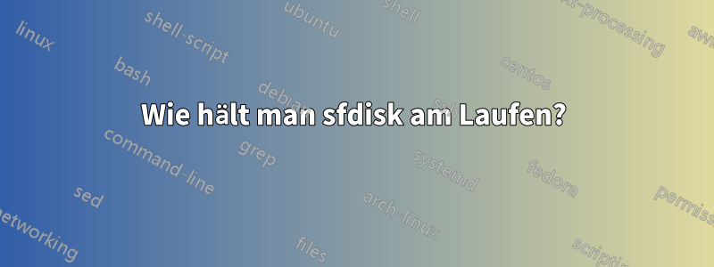 Wie hält man sfdisk am Laufen?