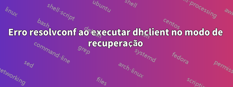 Erro resolvconf ao executar dhclient no modo de recuperação