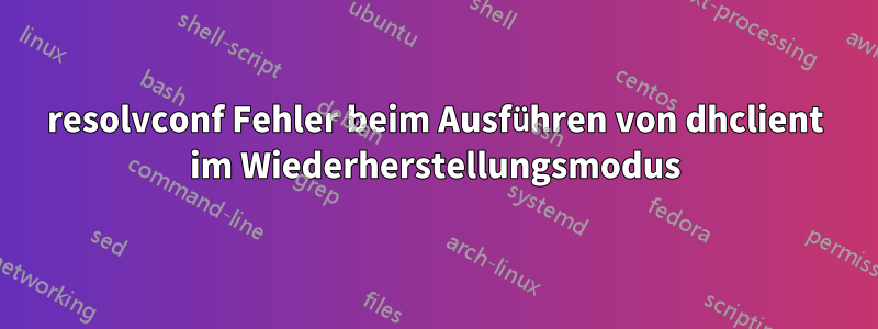 resolvconf Fehler beim Ausführen von dhclient im Wiederherstellungsmodus