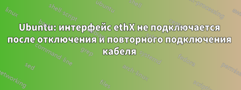 Ubuntu: интерфейс ethX не подключается после отключения и повторного подключения кабеля