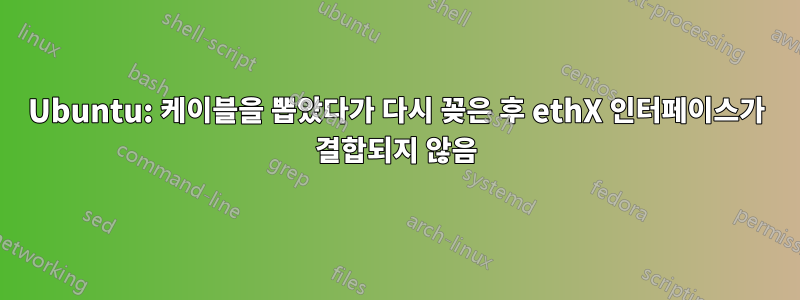 Ubuntu: 케이블을 뽑았다가 다시 꽂은 후 ethX 인터페이스가 결합되지 않음