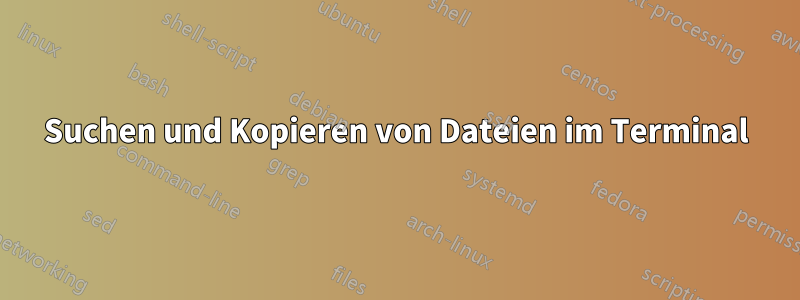 Suchen und Kopieren von Dateien im Terminal