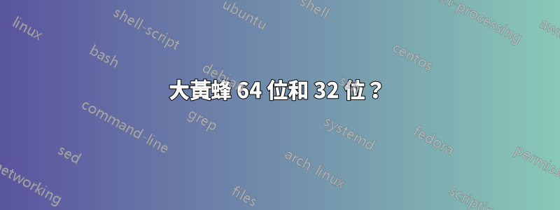 大黃蜂 64 位和 32 位？