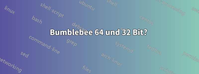 Bumblebee 64 und 32 Bit?