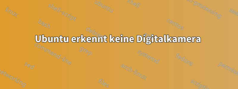 Ubuntu erkennt keine Digitalkamera