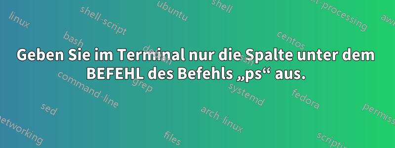 Geben Sie im Terminal nur die Spalte unter dem BEFEHL des Befehls „ps“ aus.