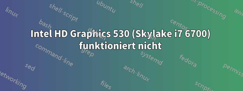 Intel HD Graphics 530 (Skylake i7 6700) funktioniert nicht