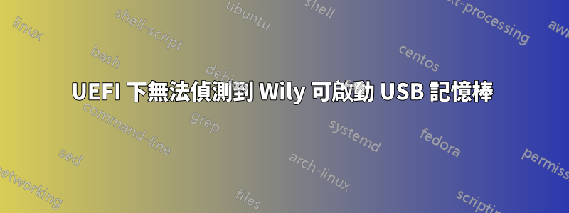 UEFI 下無法偵測到 Wily 可啟動 USB 記憶棒