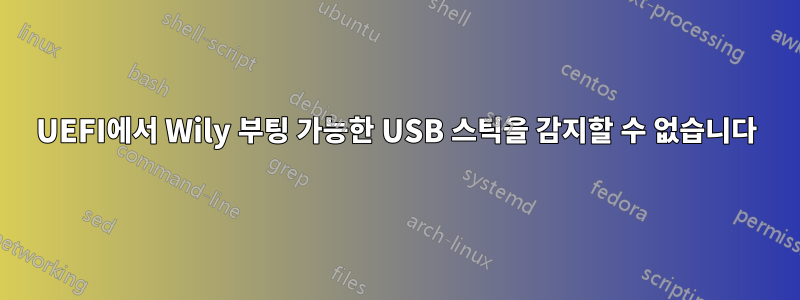 UEFI에서 Wily 부팅 가능한 USB 스틱을 감지할 수 없습니다