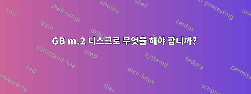 16GB m.2 디스크로 무엇을 해야 합니까?