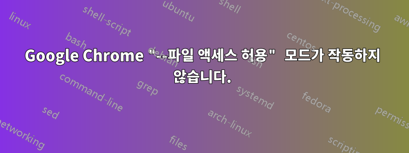 Google Chrome "--파일 액세스 허용" 모드가 작동하지 않습니다.