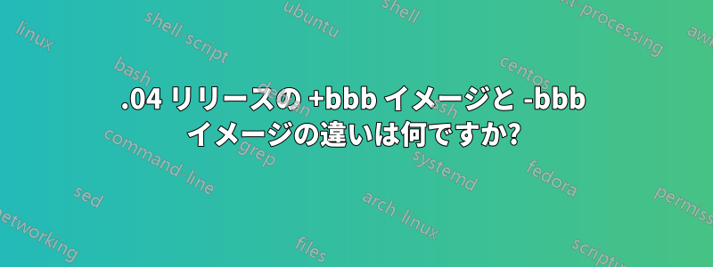15.04 リリースの +bbb イメージと -bbb イメージの違いは何ですか?