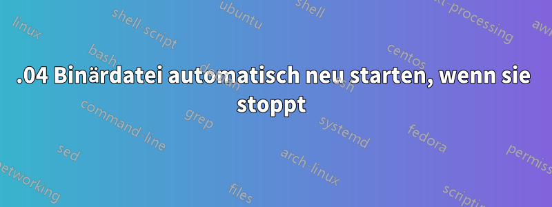 14.04 Binärdatei automatisch neu starten, wenn sie stoppt 