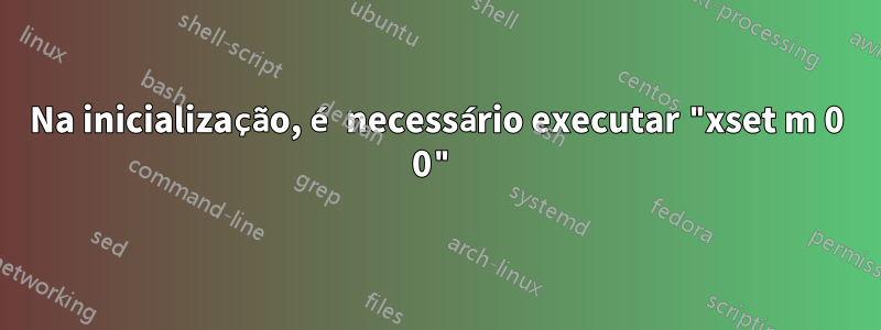 Na inicialização, é necessário executar "xset m 0 0"
