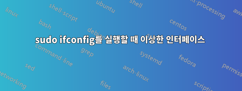 sudo ifconfig를 실행할 때 이상한 인터페이스