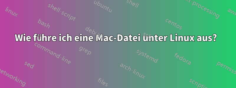 Wie führe ich eine Mac-Datei unter Linux aus? 