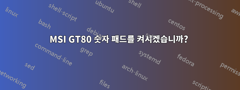 MSI GT80 숫자 패드를 켜시겠습니까?