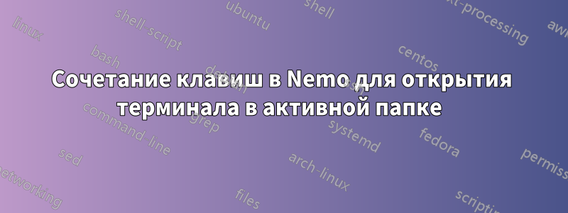 Сочетание клавиш в Nemo для открытия терминала в активной папке 