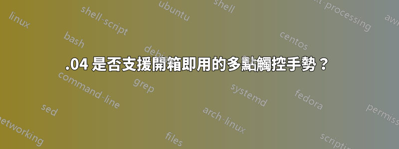 20.04 是否支援開箱即用的多點觸控手勢?
