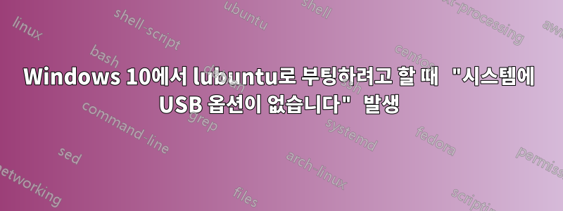 Windows 10에서 lubuntu로 부팅하려고 할 때 "시스템에 USB 옵션이 없습니다" 발생