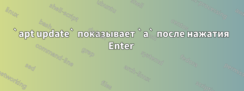 `apt update` показывает `a` после нажатия Enter