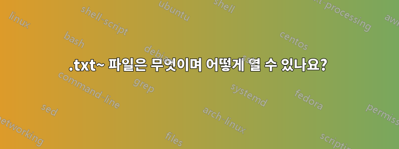 .txt~ 파일은 무엇이며 어떻게 열 수 있나요?